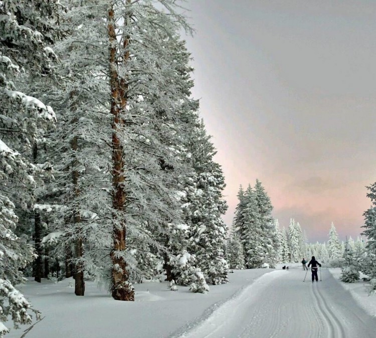 county-line-ski-trailhead-photo